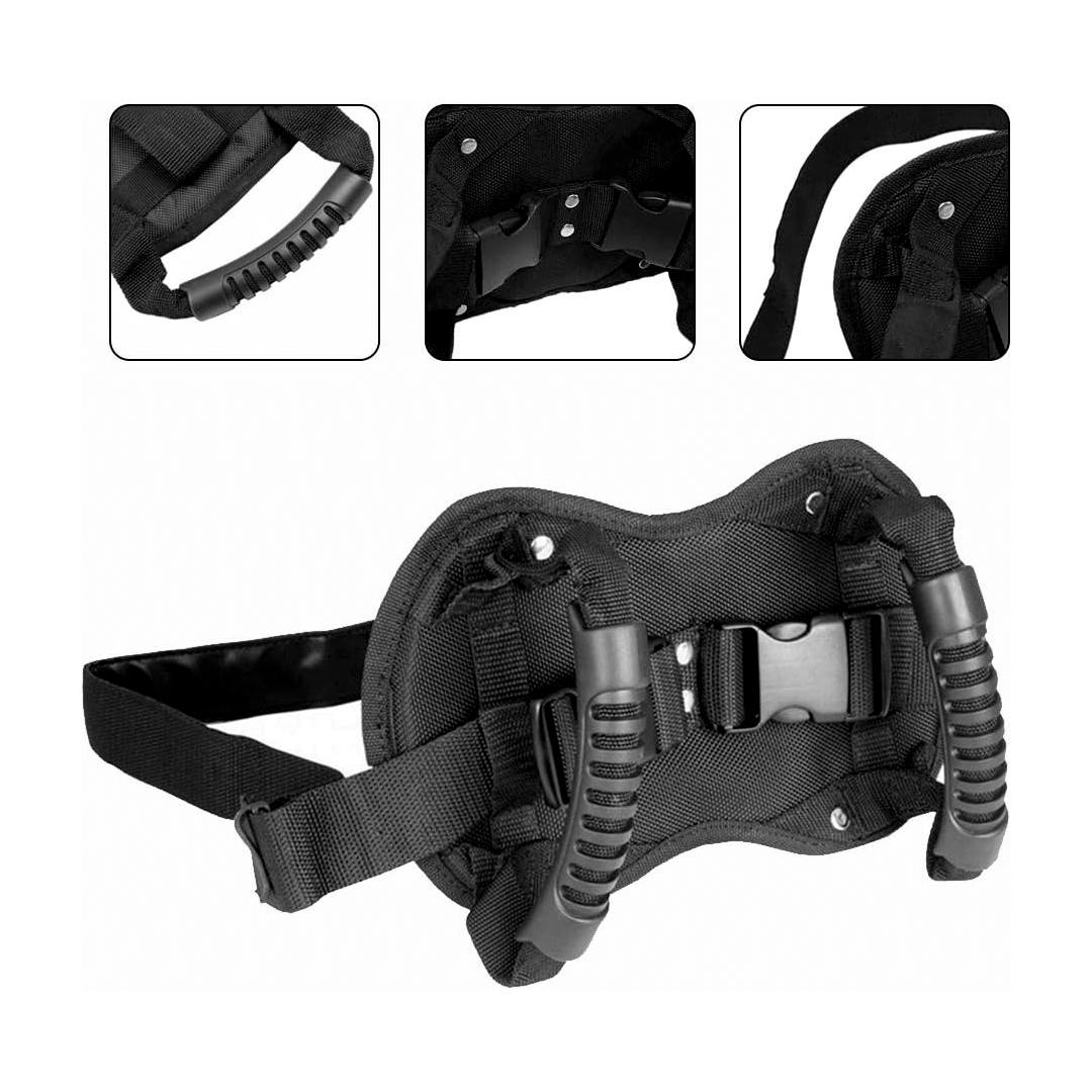 Arnés De Sujeción Para Pasajero – Seguridad Y Comodidad En Moto O Bicicleta