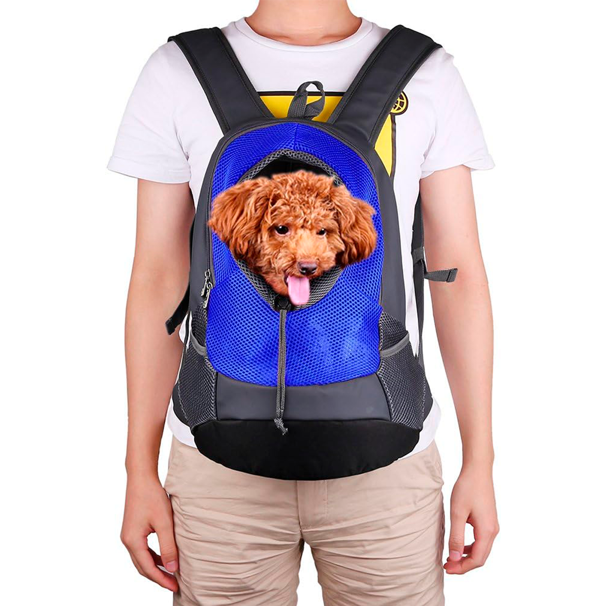 Mochila Transportadora Para Perros Y Gatos – Diseño Frontal Transpirable Con Arnés Interno De Seguridad