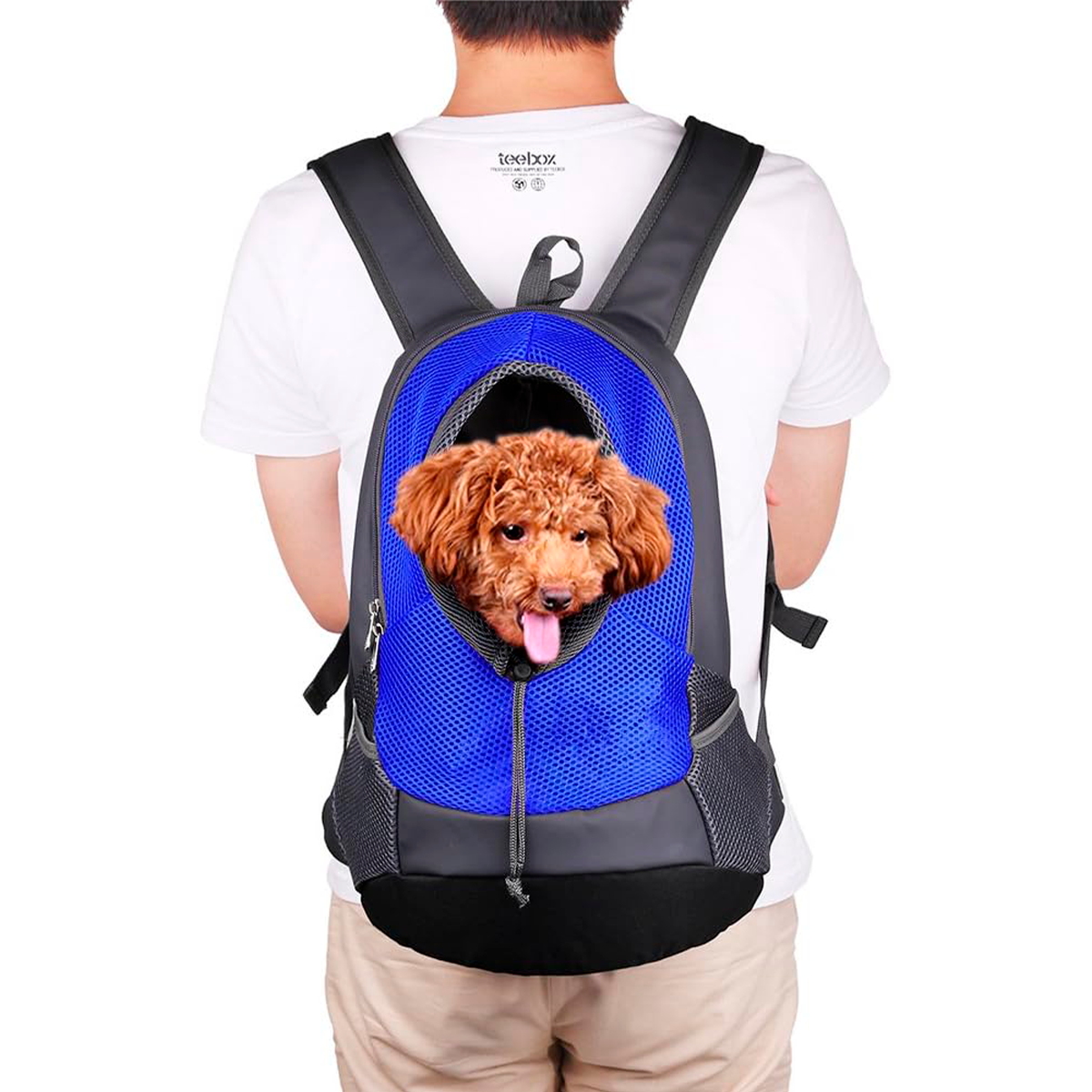 Mochila Transportadora Para Perros Y Gatos – Diseño Frontal Transpirable Con Arnés Interno De Seguridad