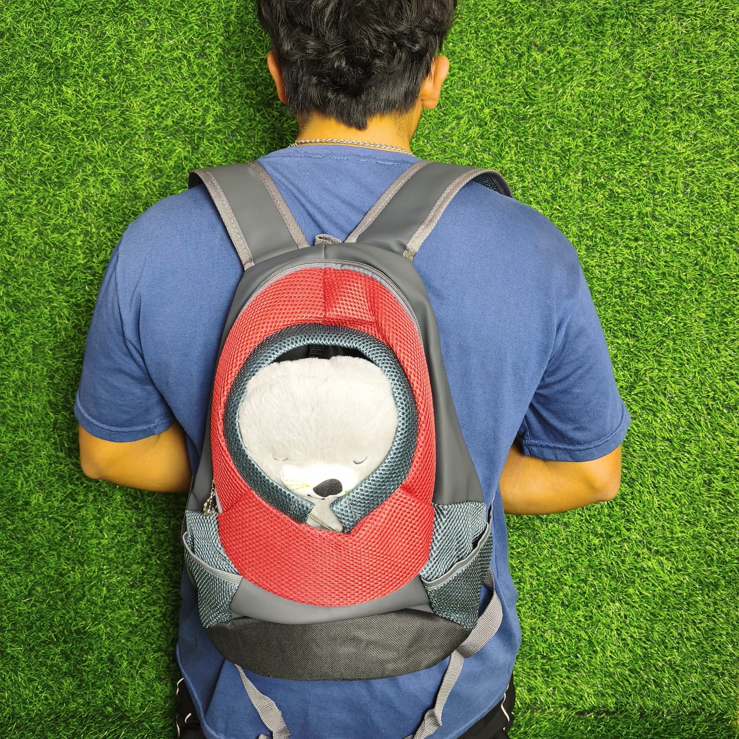 Mochila Transportadora Para Perros Y Gatos – Frontal Transpirable De Malla Con Arnés De Seguridad